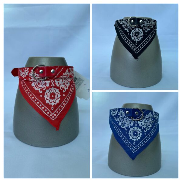 Coleira-Bandana