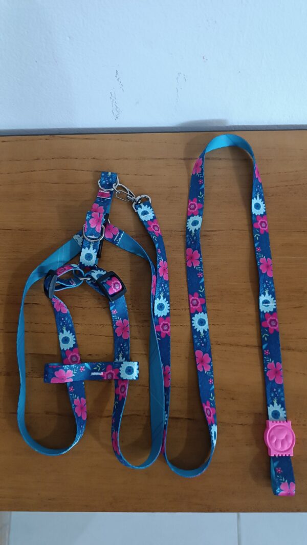 Conjunto guia e peitoral - flores