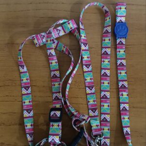 Conjunto guia e peitoral - estampado