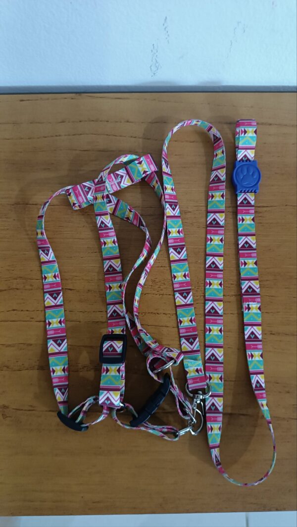 Conjunto guia e peitoral - estampado