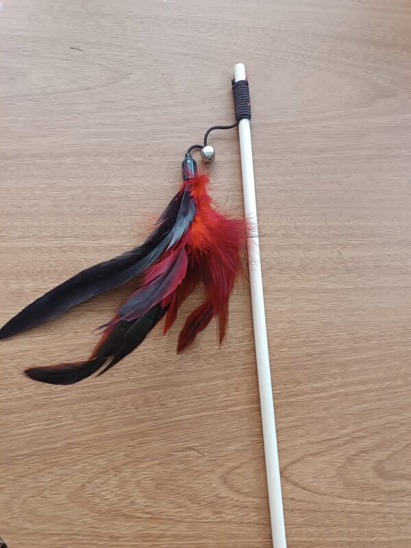 Varinha plumas - Imagem 3