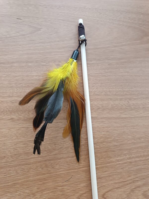 Varinha plumas - Imagem 4